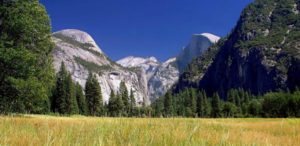 Yosemite National Park